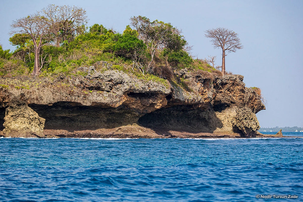 Kisite-Mpunguti Marine National Park,  Kenya