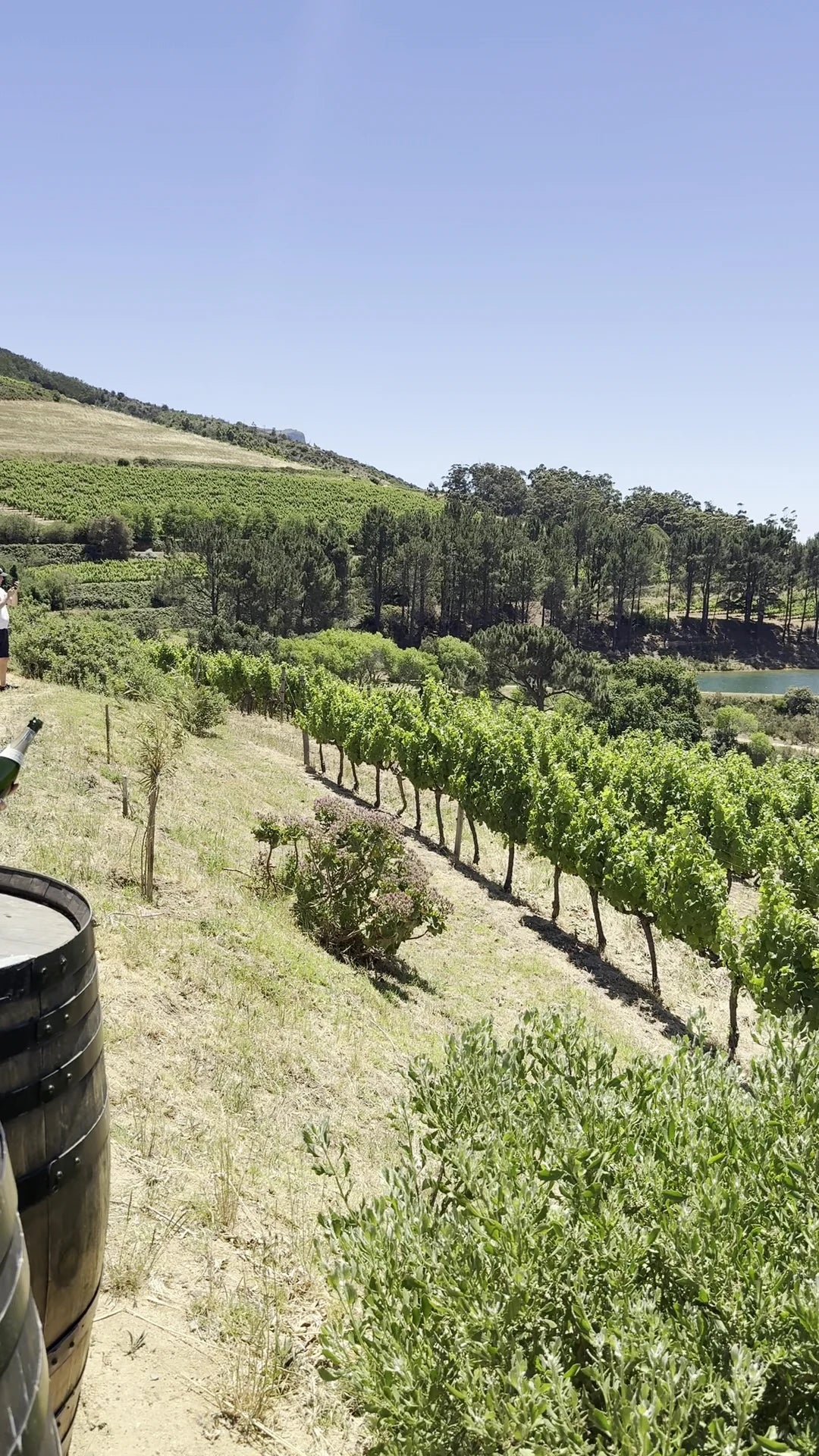 Klein Constantia Estate,  South Africa