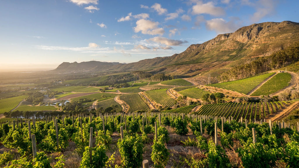 Klein Constantia Estate,  South Africa
