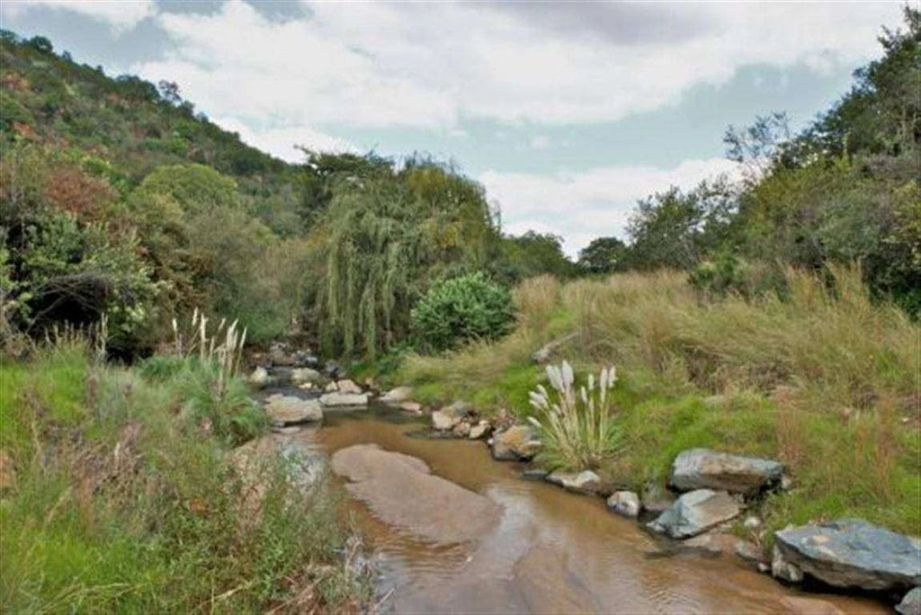 Klipriviersberg Municipal Nature Reserve, Johannesburg South South Africa