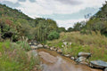Klipriviersberg Municipal Nature Reserve, Johannesburg South South Africa
