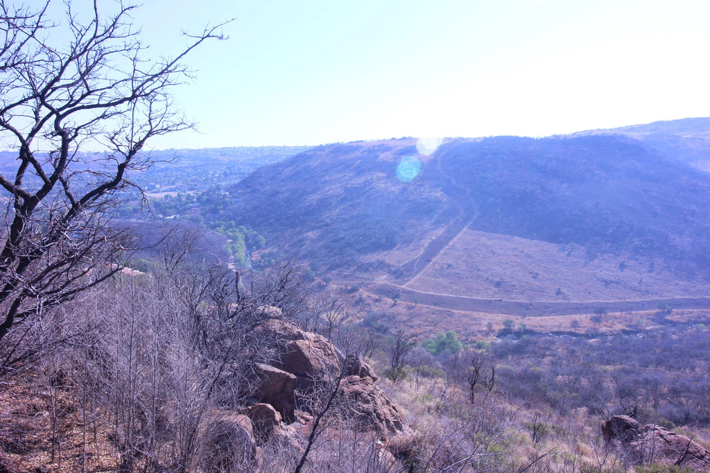 Klipriviersberg Municipal Nature Reserve, Johannesburg South South Africa