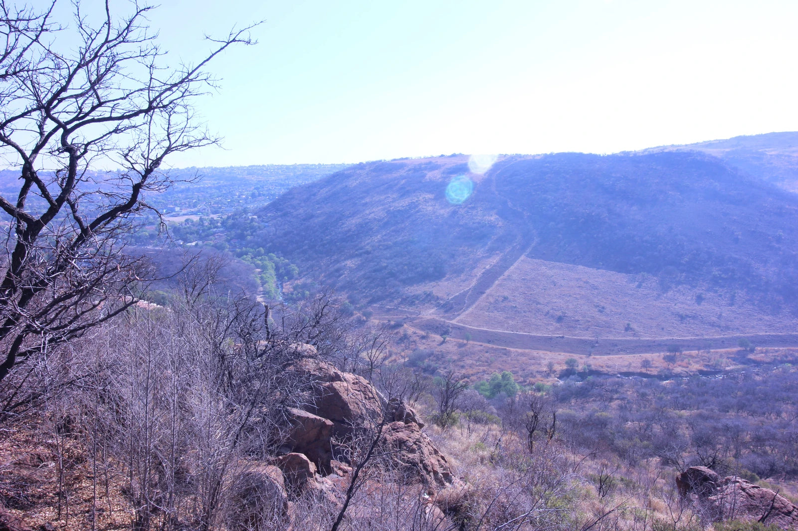 Klipriviersberg Municipal Nature Reserve, Johannesburg South South Africa