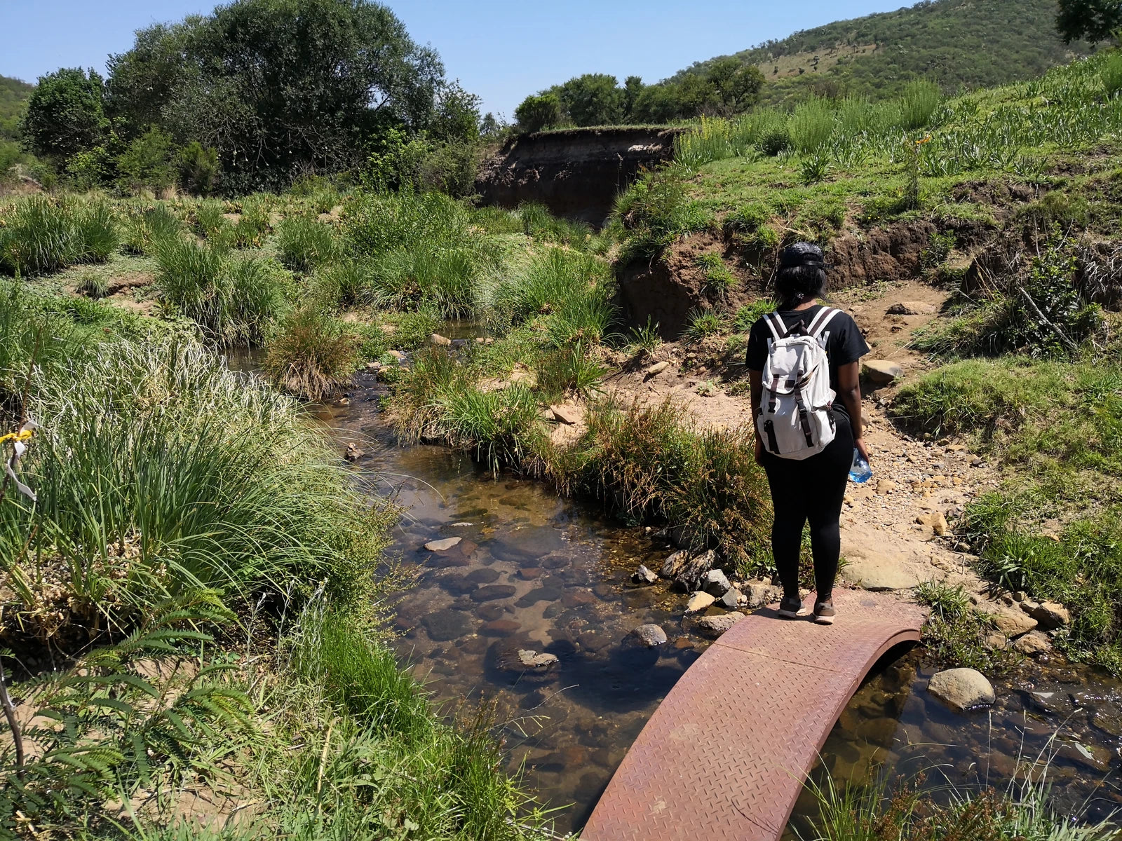 Klipriviersberg Municipal Nature Reserve, Johannesburg South South Africa
