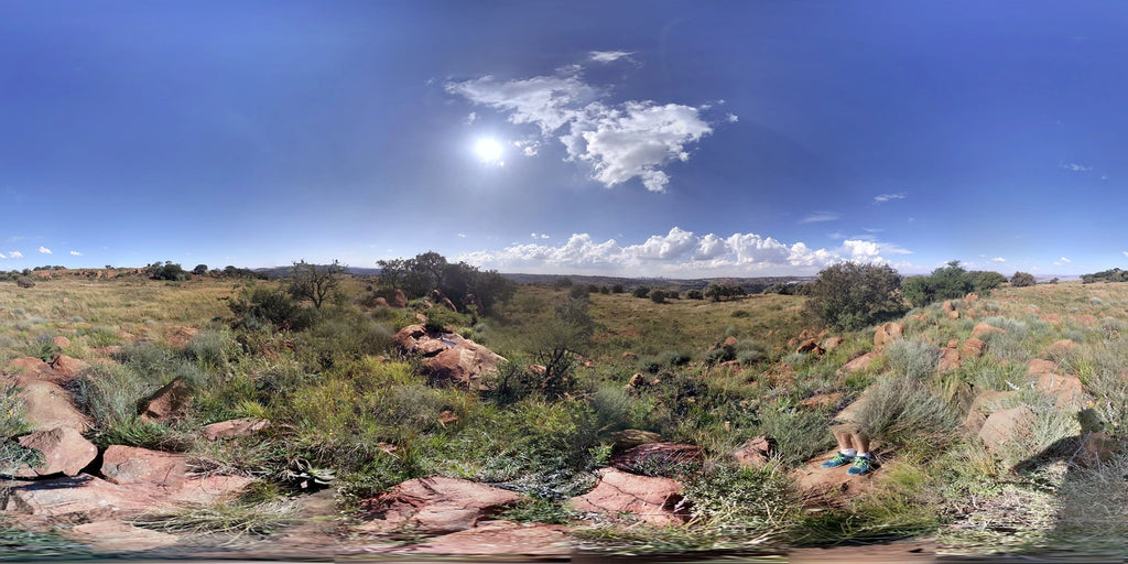 Klipriviersberg Municipal Nature Reserve, Johannesburg South South Africa