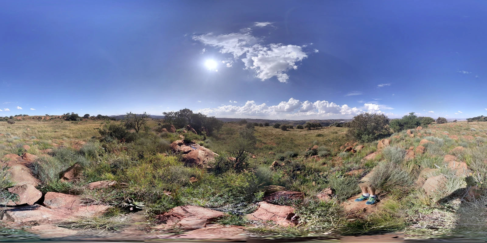 Klipriviersberg Municipal Nature Reserve, Johannesburg South South Africa
