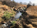 Klipriviersberg Nature Reserve, Johannesburg South South Africa