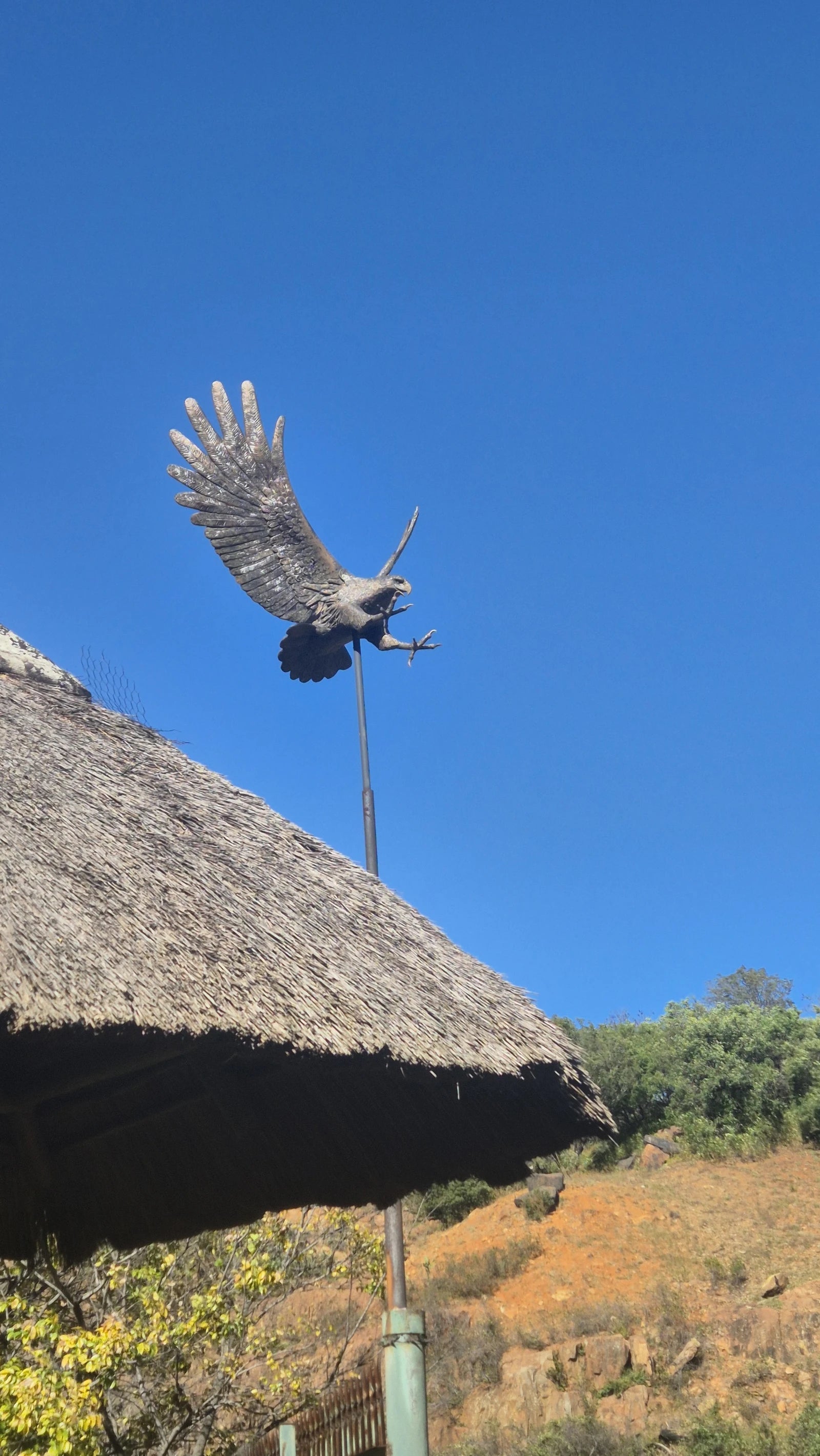 Klipriviersberg Nature Reserve, Johannesburg South South Africa