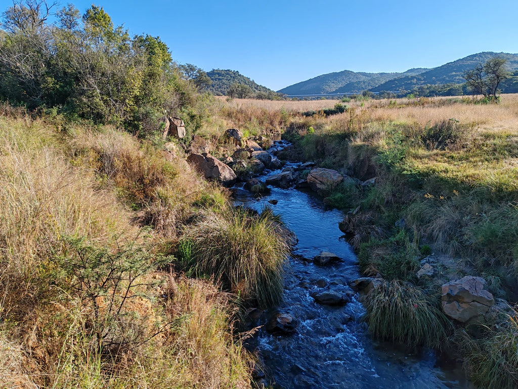 Klipriviersberg Nature Reserve, Johannesburg South South Africa