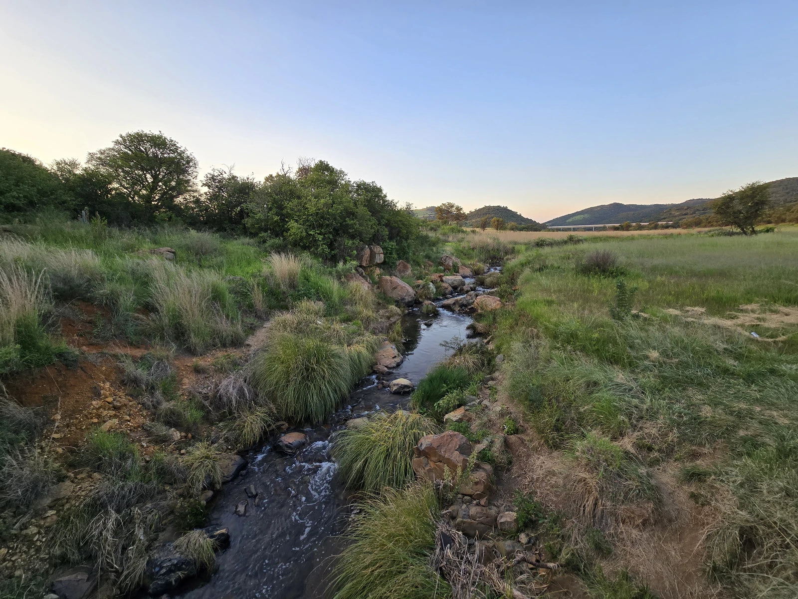 Klipriviersberg Nature Reserve, Johannesburg South South Africa