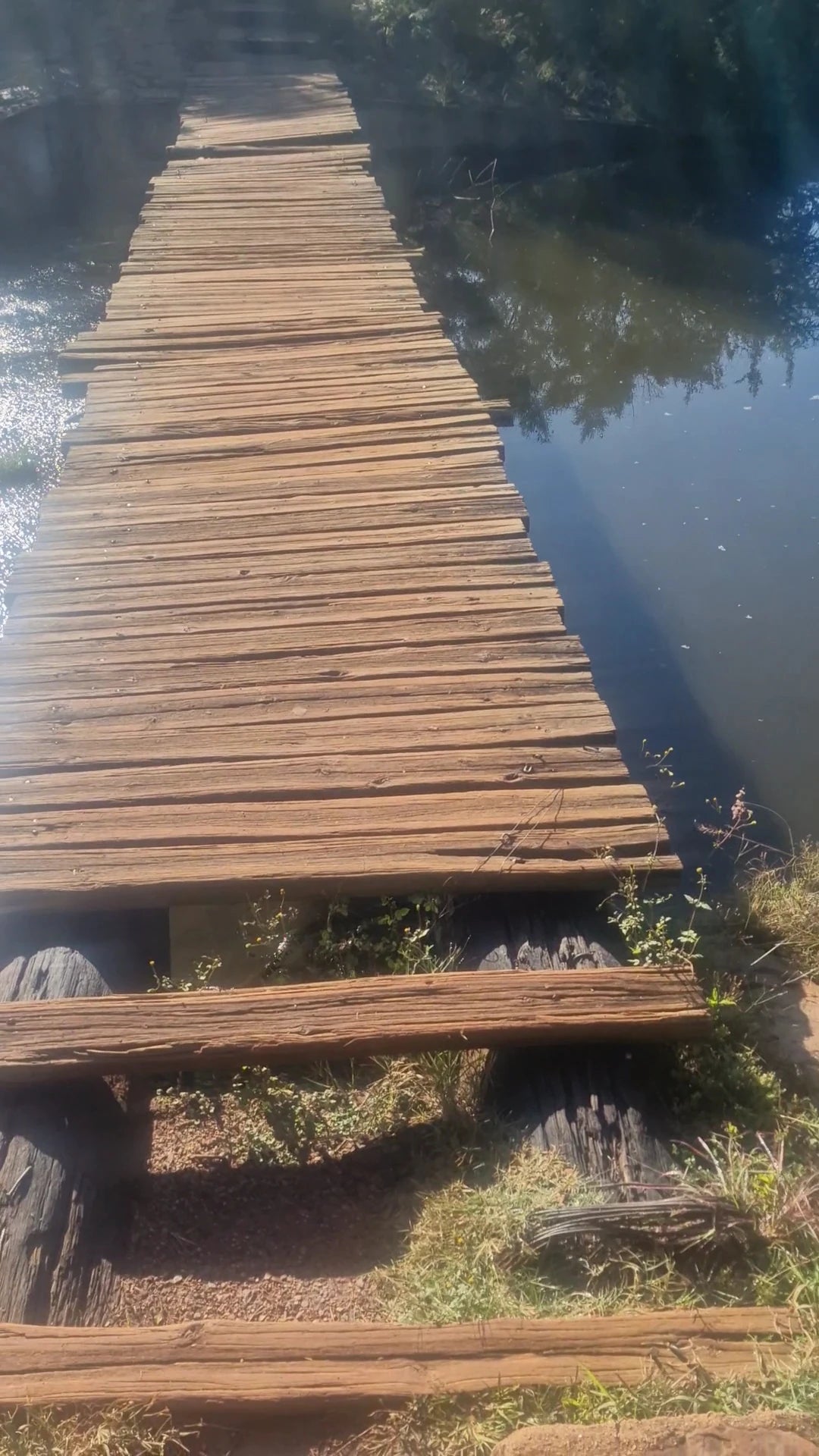 Kloofendal Nature Reserve, Roodepoort South Africa