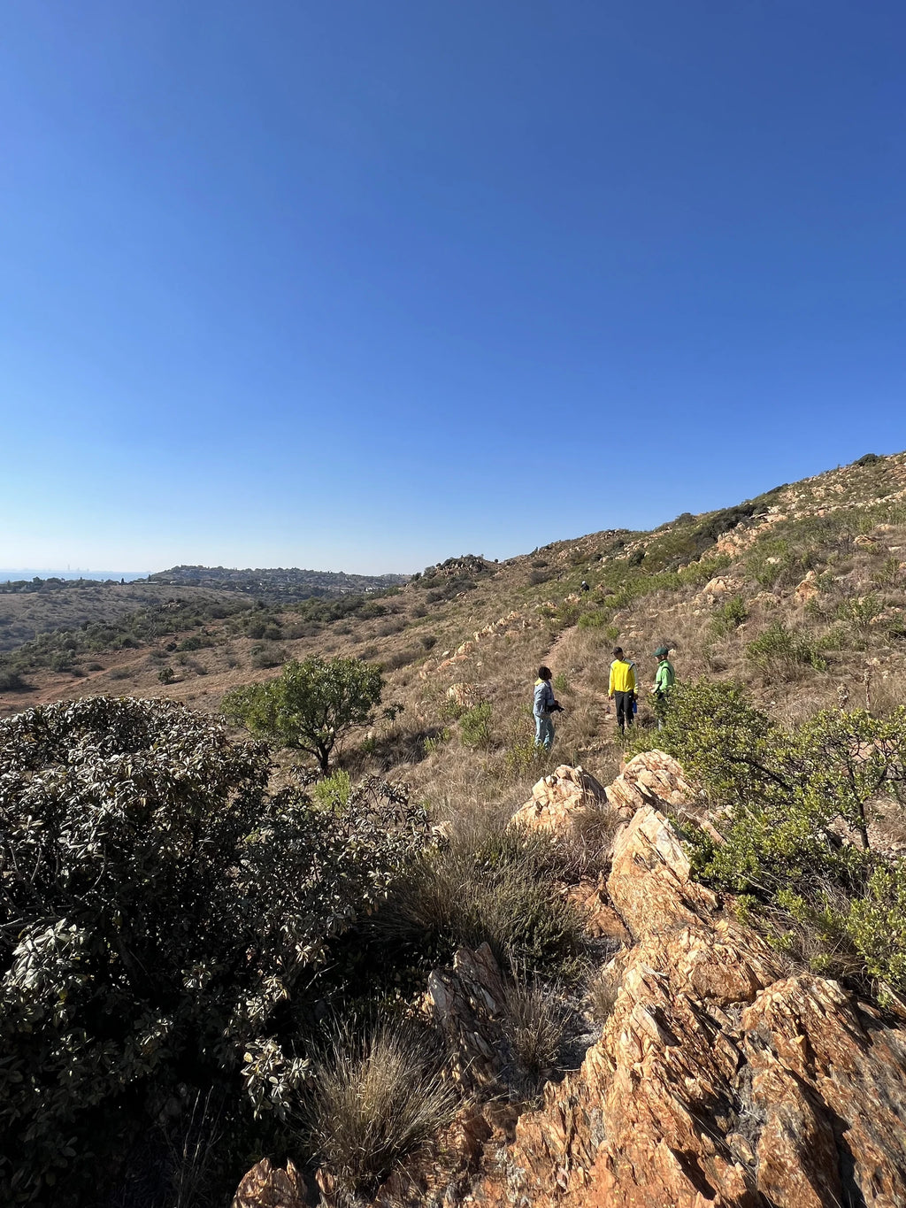 Kloofendal Nature Reserve, Roodepoort South Africa