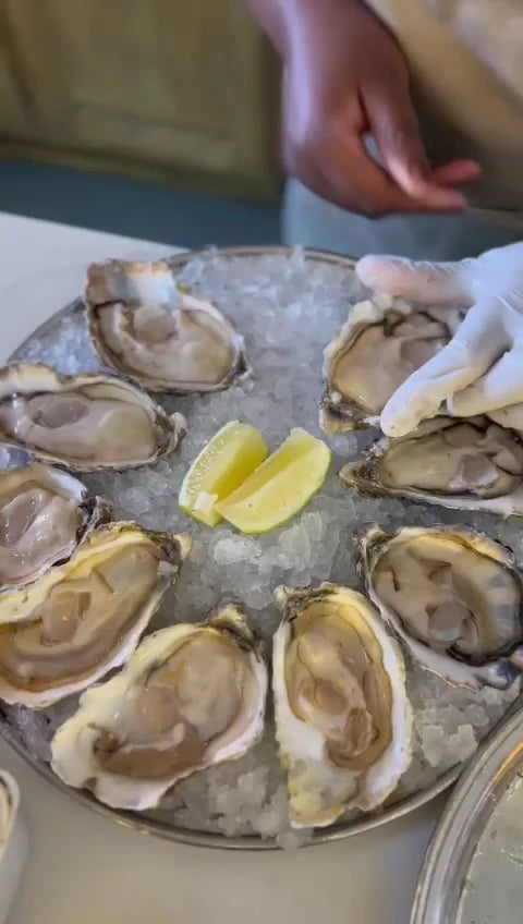 Knysna Oyster Company - V&A Waterfront Cape Town, Cape Town South Africa