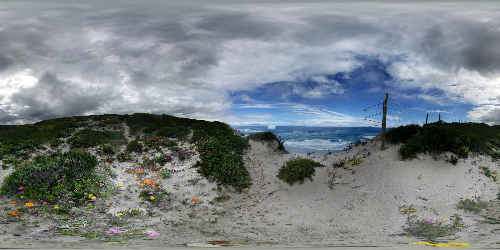 Koeberg Nature Reserve, Cape Town South Africa