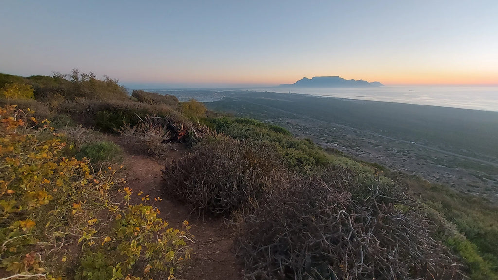 Koeberg Nature Reserve, Cape Town South Africa