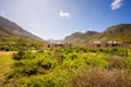 Kogelberg Nature Reserve, Betty's Bay South Africa