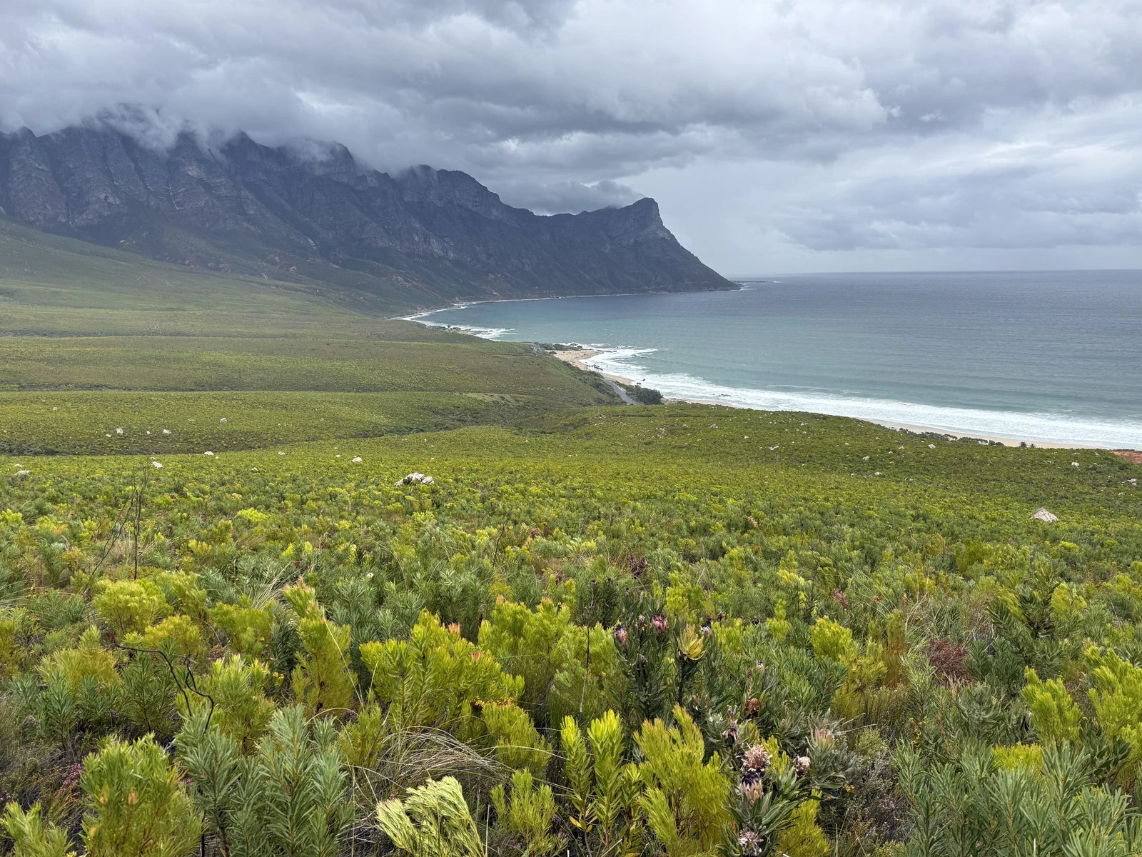 Kogelberg Nature Reserve, Betty's Bay South Africa