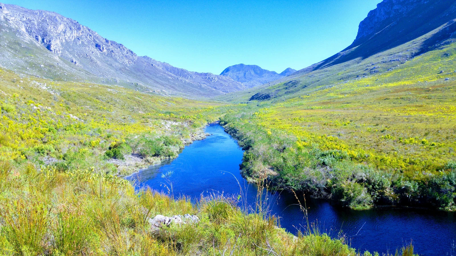 Kogelberg Nature Reserve, Betty's Bay South Africa