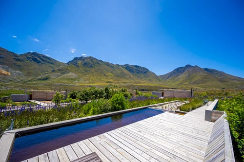 Kogelberg Nature Reserve, Betty's Bay South Africa
