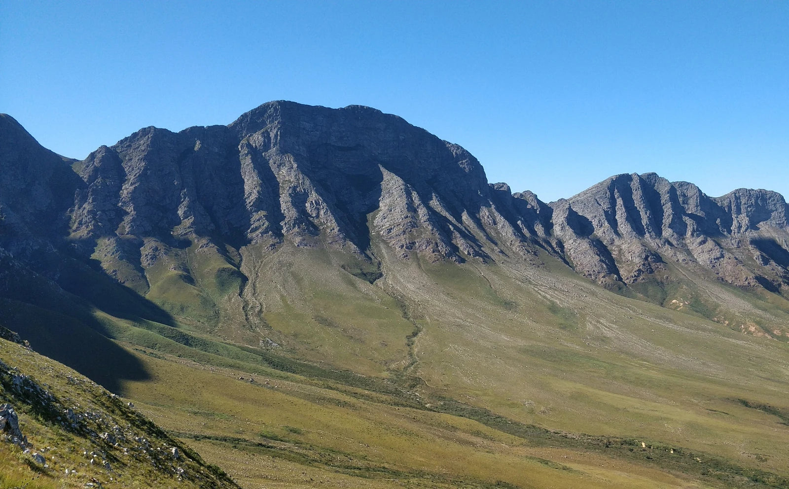 Kogelberg Nature Reserve, Betty's Bay South Africa