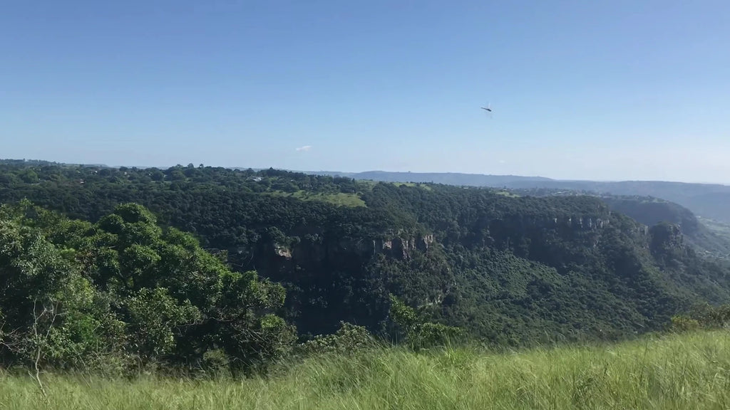 Krantzkloof Nature Reserve, Kloof South Africa