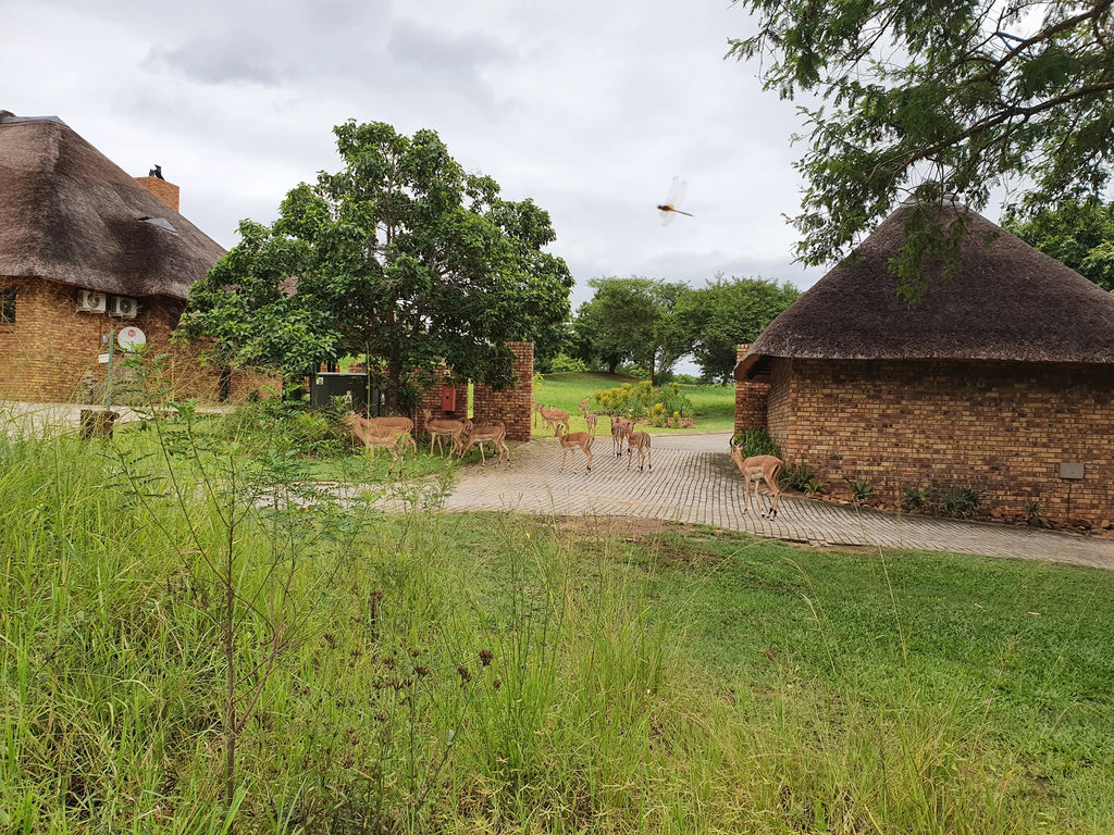 Kruger Park Lodge, Hazyview South Africa