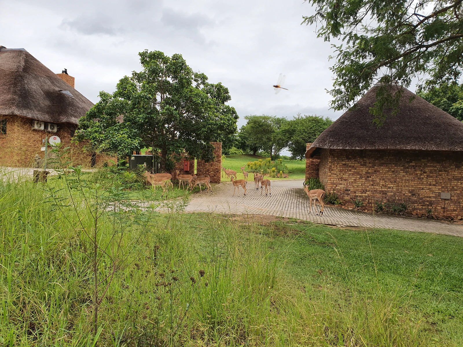 Kruger Park Lodge, Hazyview South Africa