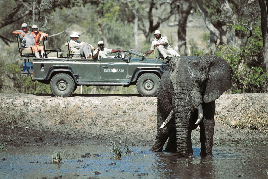 Kruger Park Safaris, Skukuza South Africa