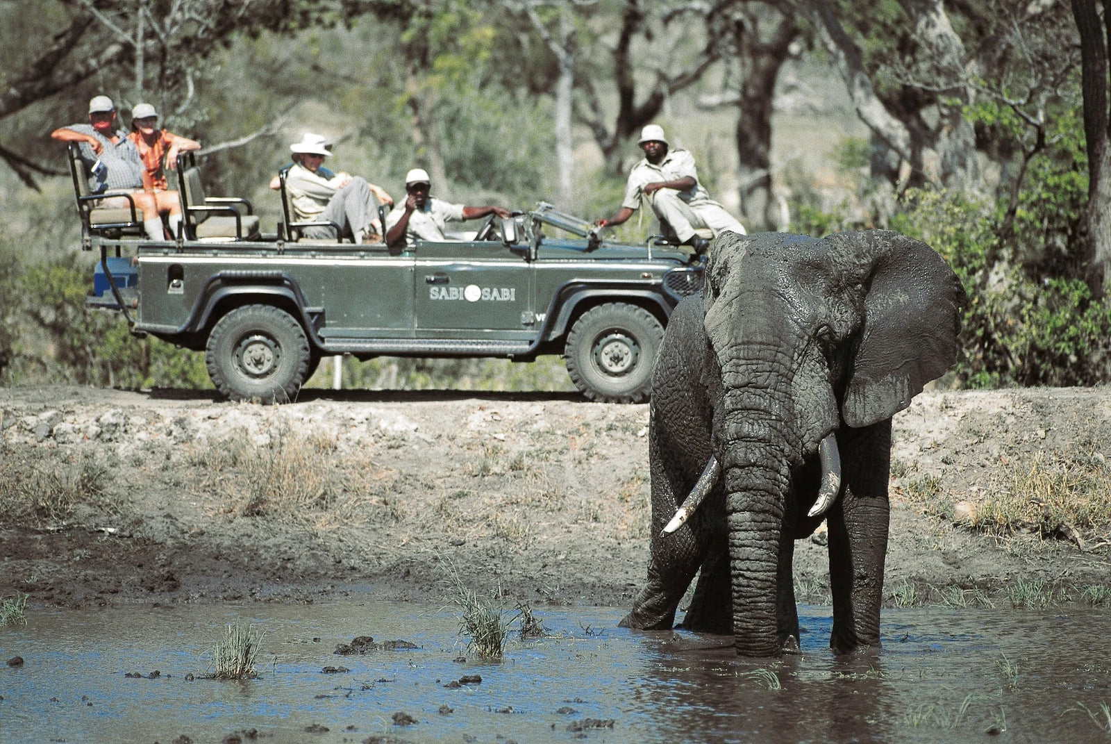 Kruger Park Safaris, Skukuza South Africa