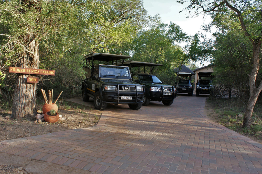 Kruger Park Safaris, Skukuza South Africa