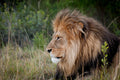 Kwantu Private Game Reserve, Sidbury South Africa