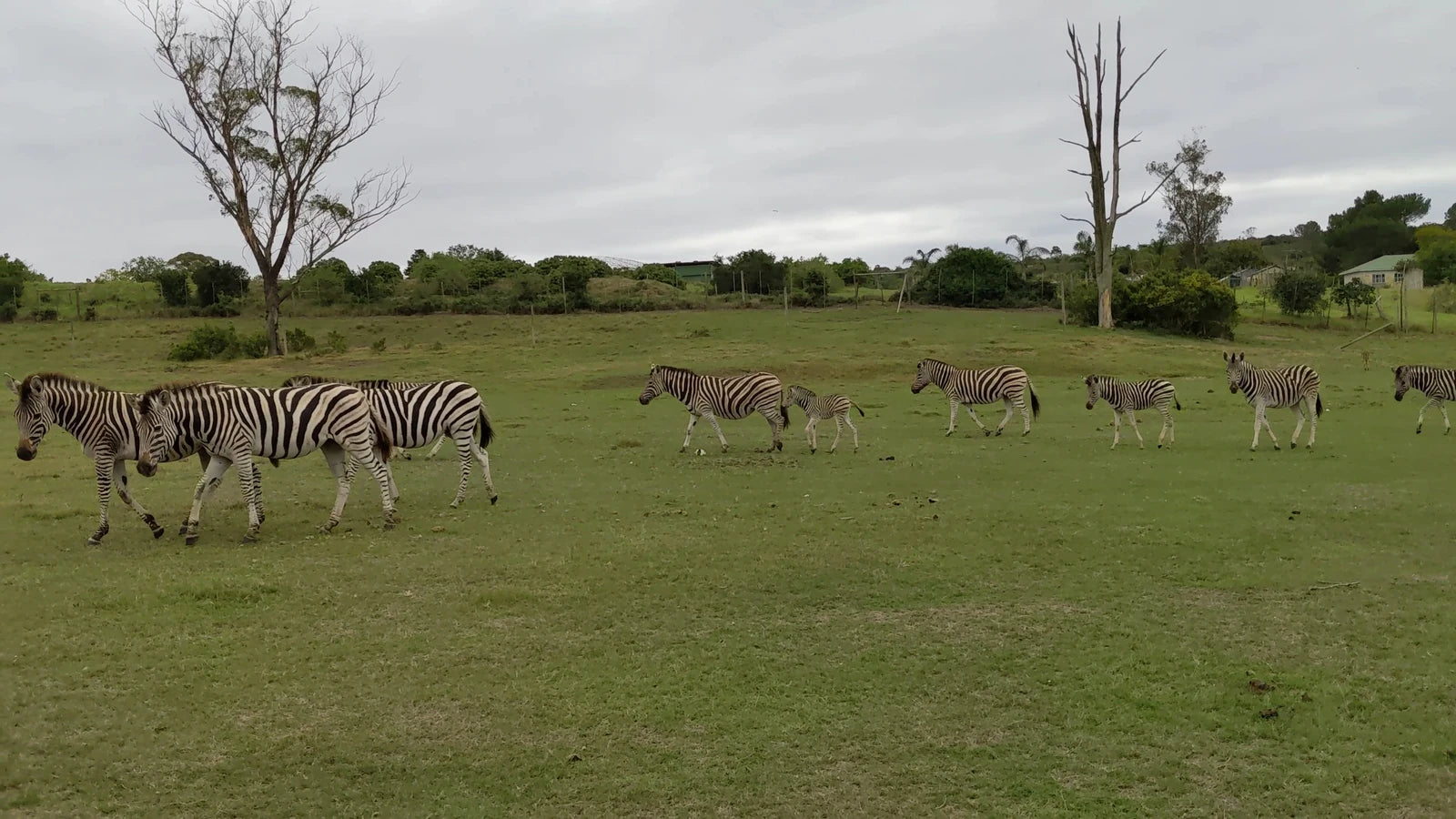 Kwantu Private Game Reserve, Sidbury South Africa