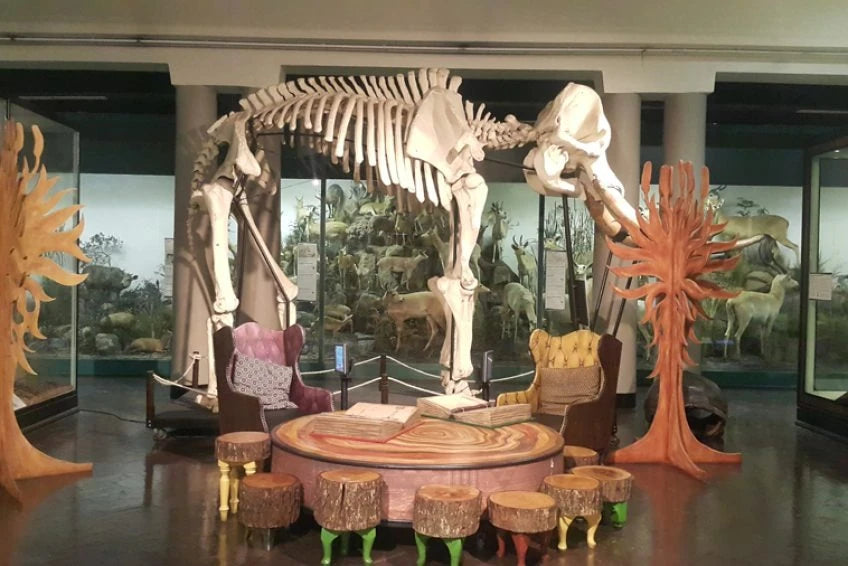 KwaZulu-Natal Museum, Pietermaritzburg South Africa