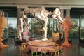 KwaZulu-Natal Museum, Pietermaritzburg South Africa