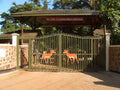 KWS-Kisumu Impala Sanctuary, Kisumu Kenya