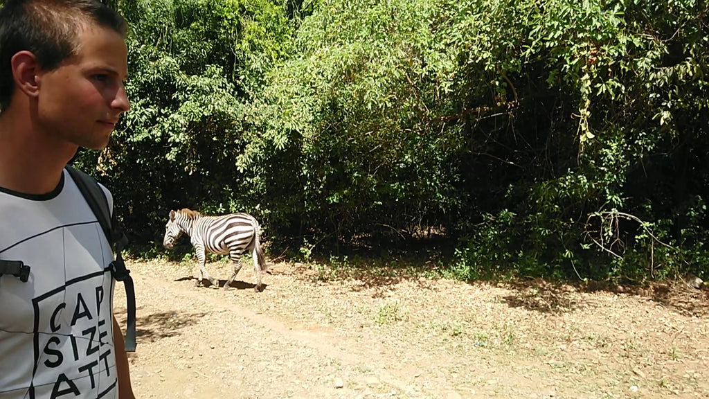 KWS-Kisumu Impala Sanctuary, Kisumu Kenya