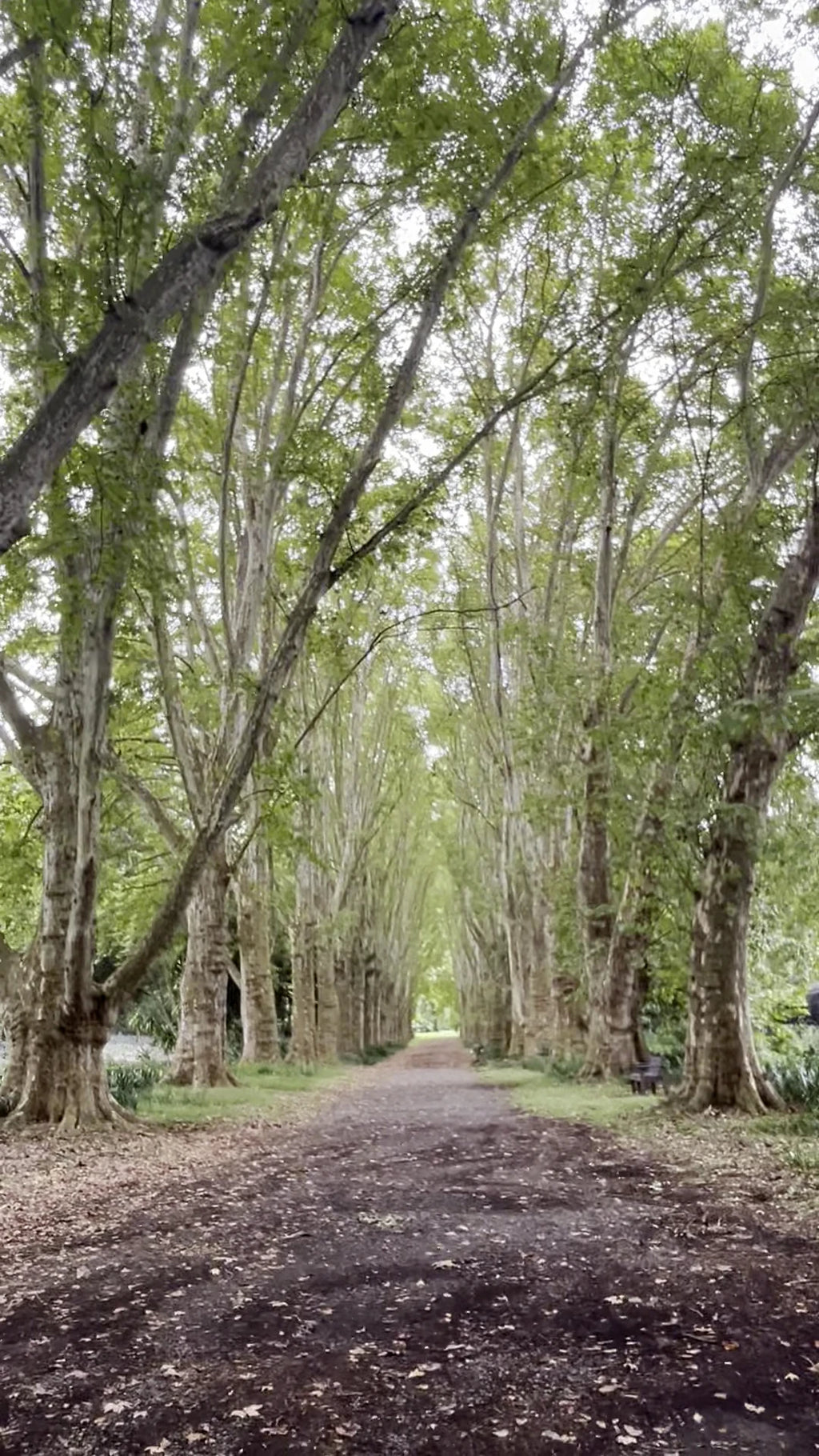 KZN National Botanical Garden (PMB), Pietermaritzburg South Africa