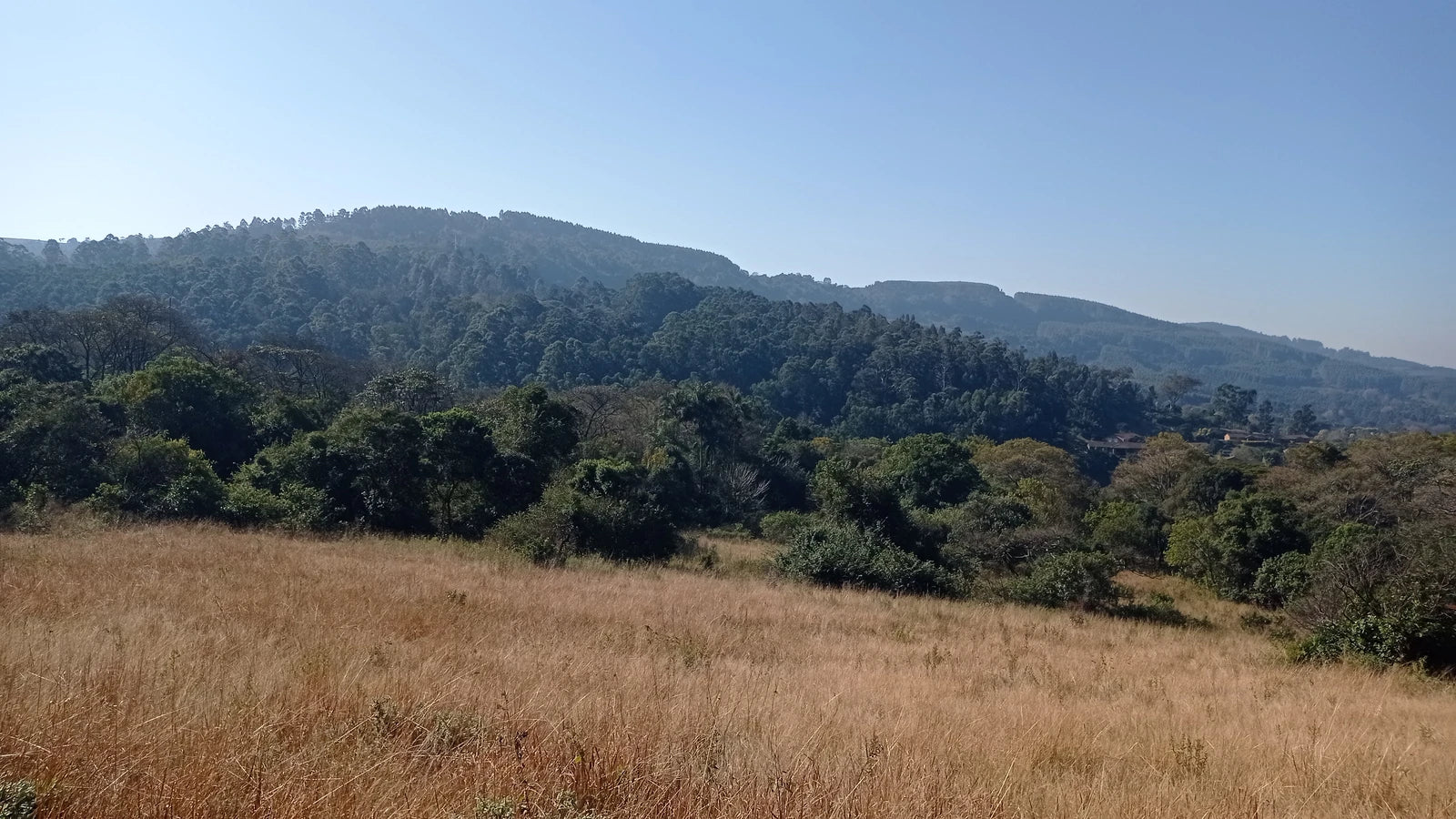 KZN National Botanical Garden (PMB), Pietermaritzburg South Africa