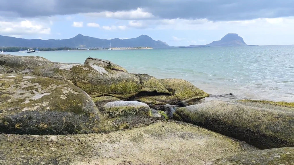 La Preneuse, La Preneuse Mauritius