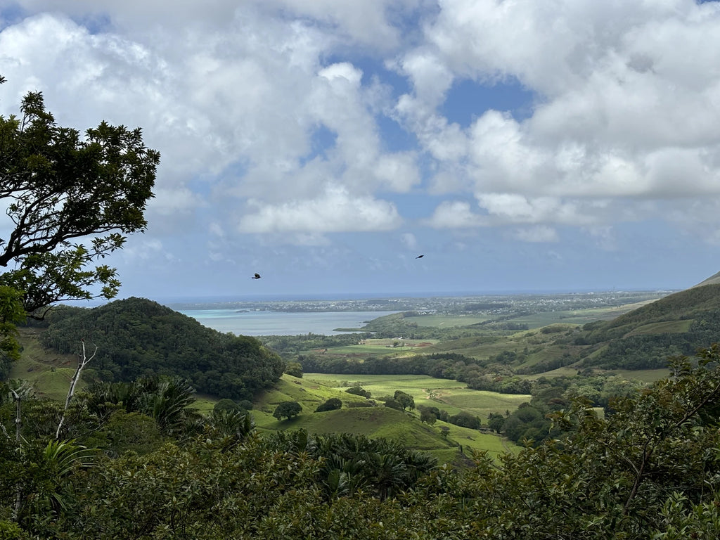 La Vallée de Ferney, Vieux Grand Port Mauritius