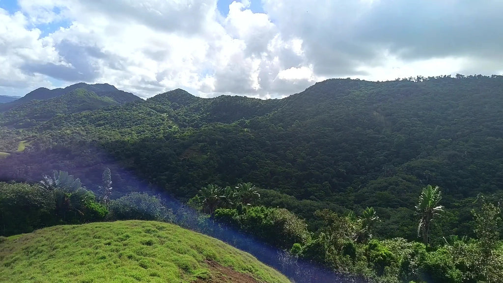 La Vallée de Ferney, Vieux Grand Port Mauritius