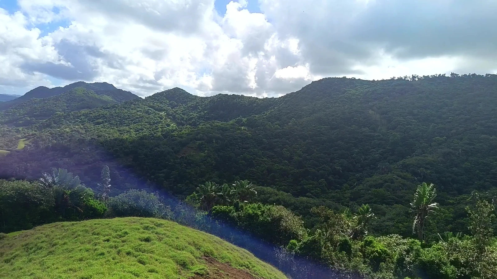 La Vallée de Ferney, Vieux Grand Port Mauritius