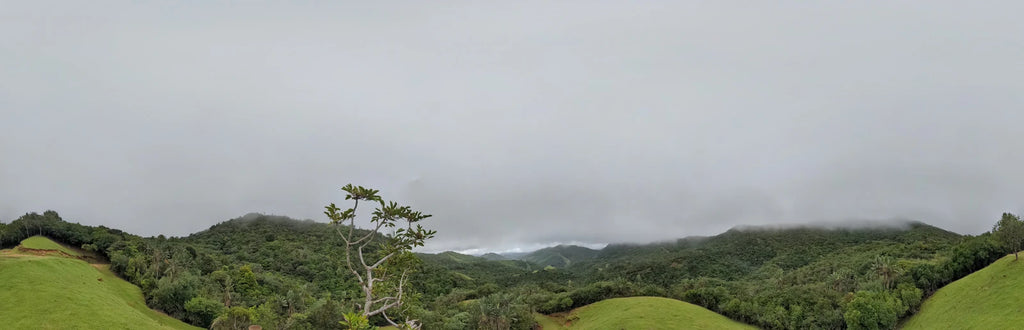 La Vallée de Ferney, Vieux Grand Port Mauritius