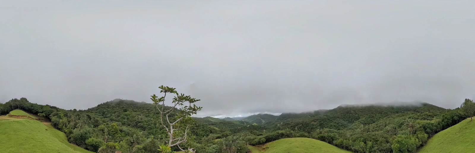 La Vallée de Ferney, Vieux Grand Port Mauritius