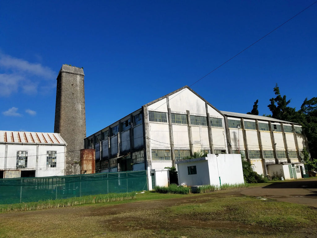 La Vallée de Ferney, Vieux Grand Port Mauritius