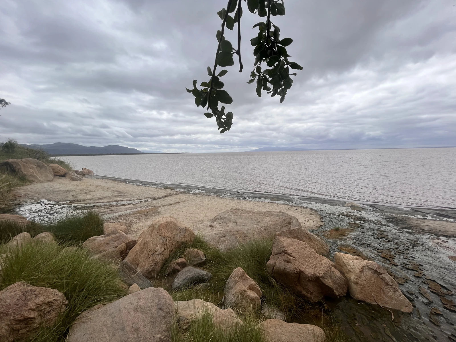 Lake Manyara National Park,  Tanzania