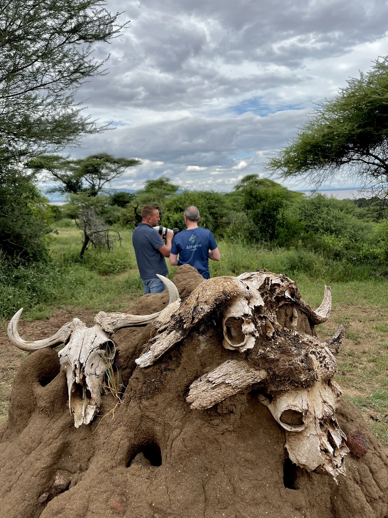 Lake Manyara National Park,  Tanzania