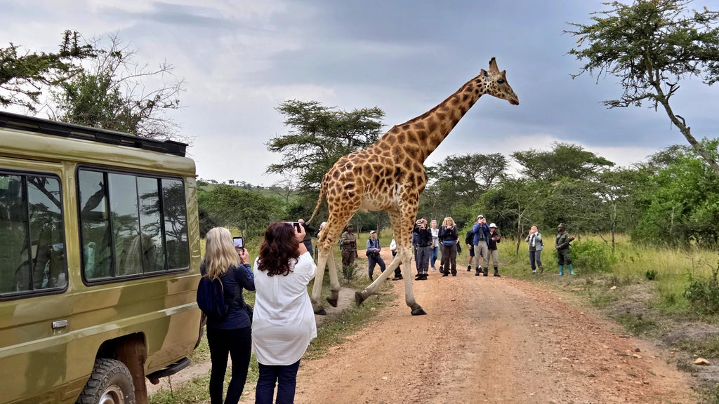 Lake Mburo National Park,  Uganda