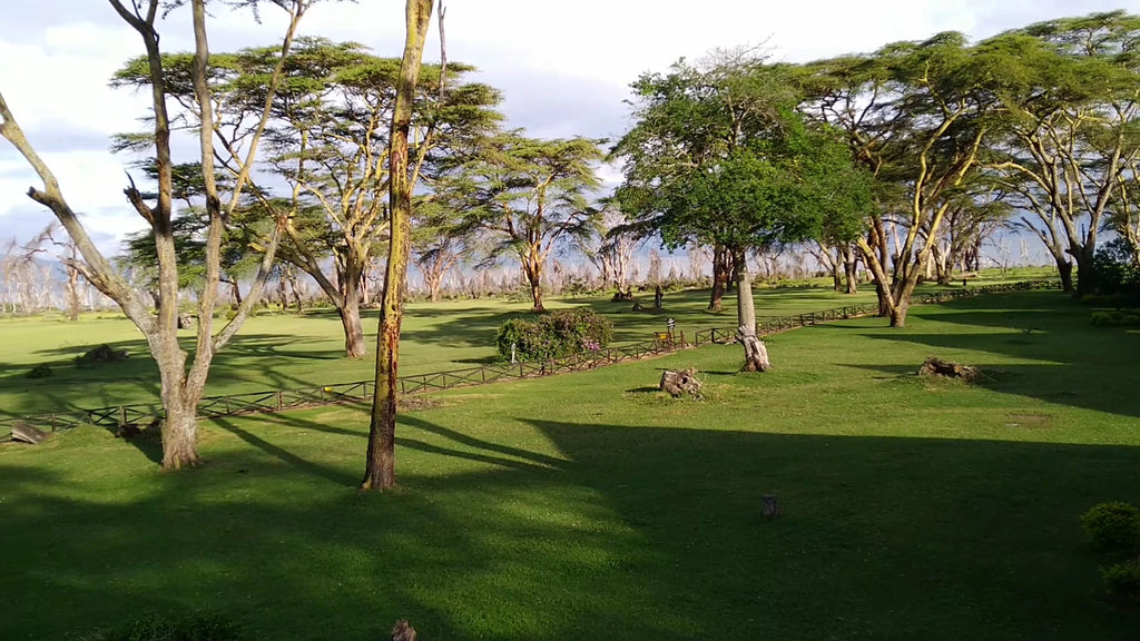 Lake Naivasha Sopa Resort, 
Sulmac Village Kenya