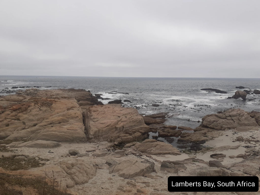 Lambert’s Bay Bird Island Nature Reserve, Lambert's Bay South Africa